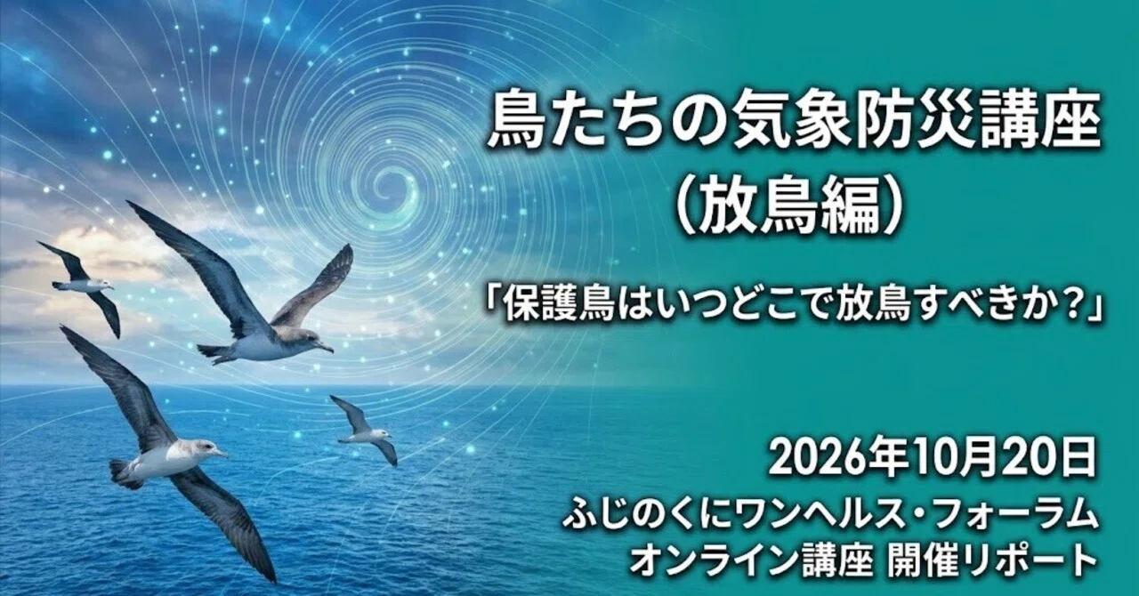 Event Report: 