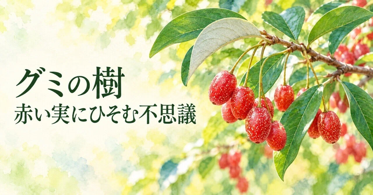 Why are Gumi berries astringent? Red berries, silver leaves, and small ...