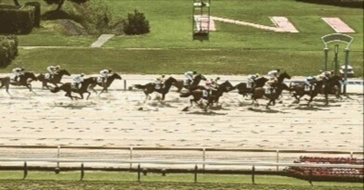 [2007 Fantasy Stakes] The Lovely Dance That Captivated the Swan of Yodo ...