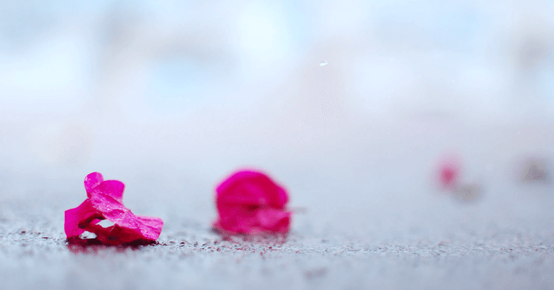 心と身体は壊れると もとの状態には戻らない 頑張りやさんに届け 森中 忍 もーりー Note