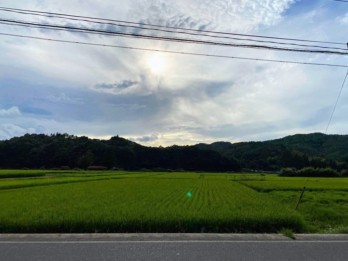 露出美術館の全裸掲示板