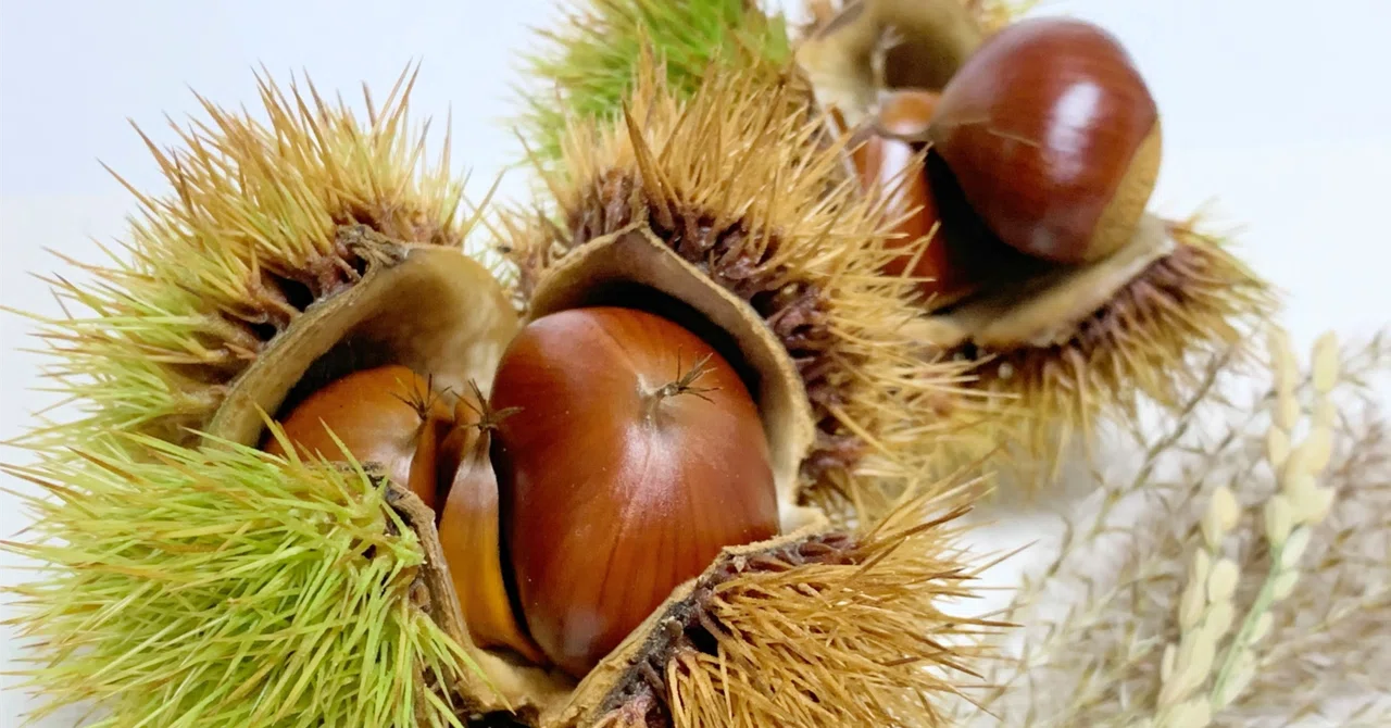 Mom's Seasonal Musings: October - It's the season for delicious ...