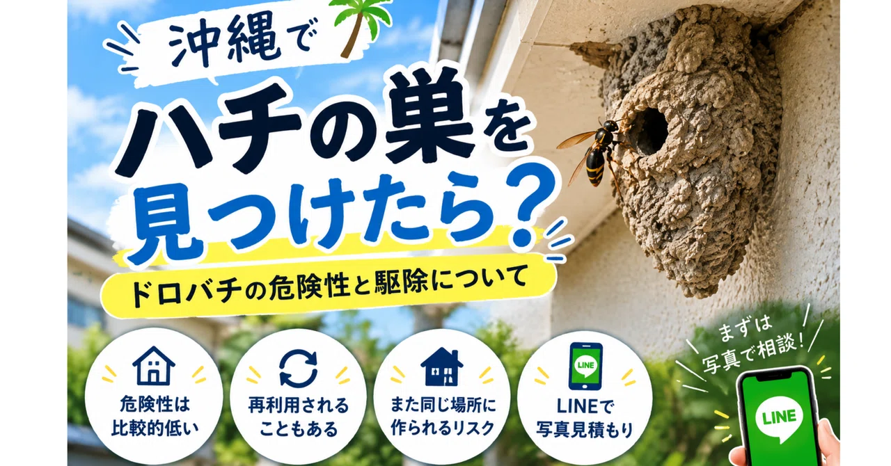 What to do if you find a beehive in Okinawa? Explaining the dangers and ...