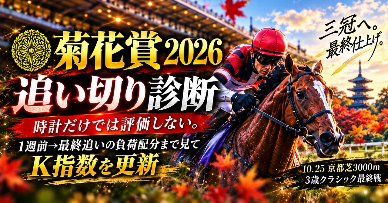 Kikuka Sho 2026 Final Training Analysis｜わさわさ
