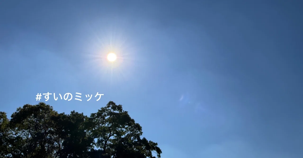 [일 쉬어달라고, 말하지 못했었다.]｜sui