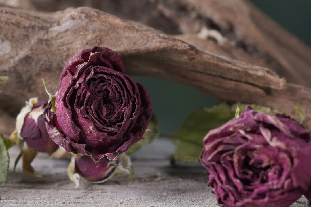 Proposal Roses Scattered Preserving Proposal Bouquets as Pressed Flowers | A Specialist Explains ...