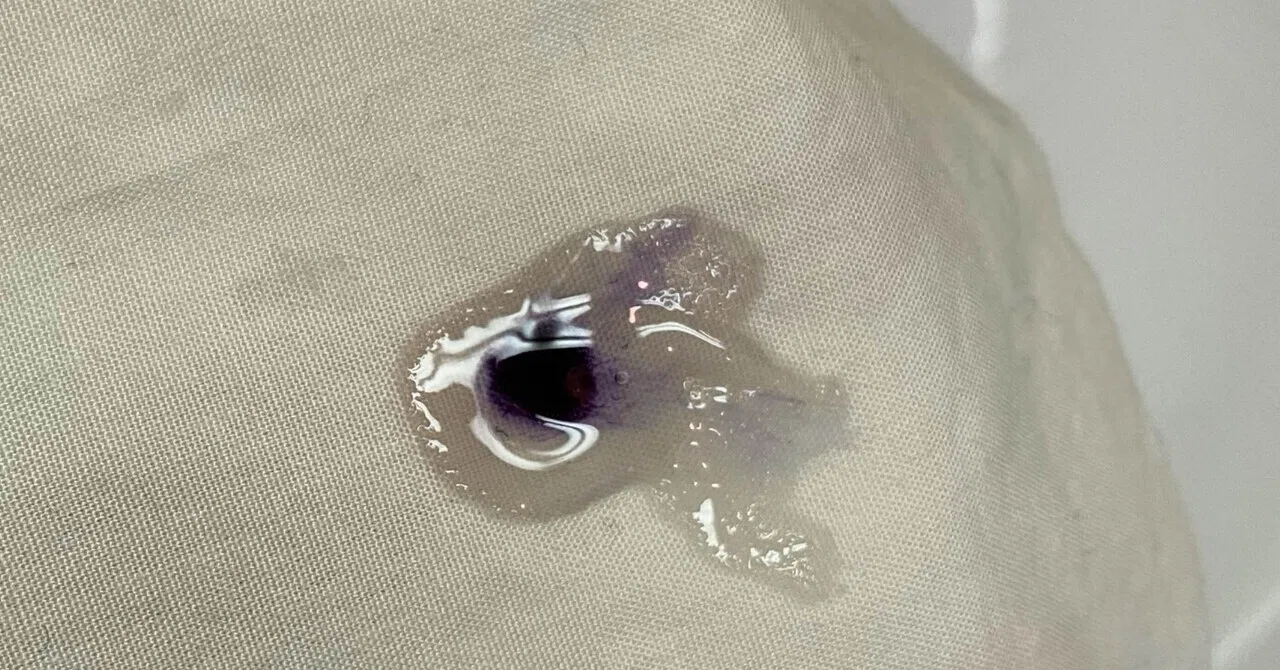 Experiment on Removing Ballpoint Pen Ink Stains While Traveling｜花子🌸洋服お直し