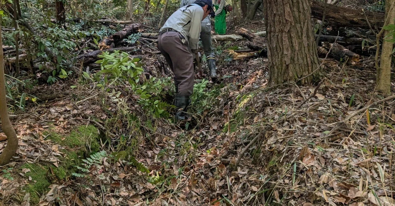 November 1st. I'm heading out for my second-ever 'ditch digging ...
