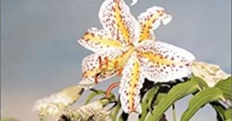 distance 2001 是枝裕和監督 実力派有名監督の初期作品 takesky 映画を読む note