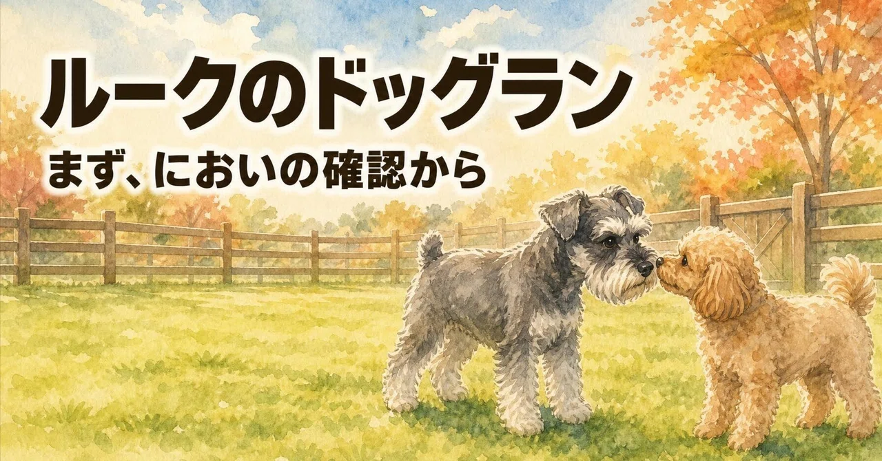Living with a Miniature Schnauzer: A dog that really reads the room ...