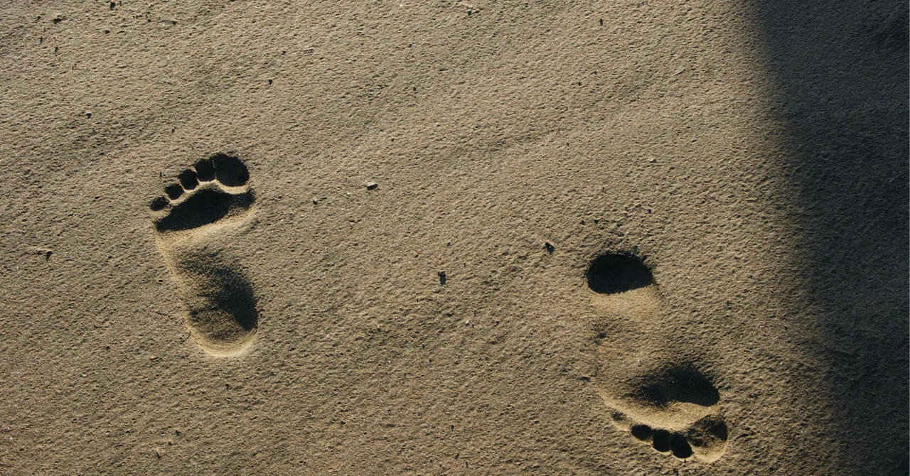 Various Footprints Short-Shorts 25｜カメ