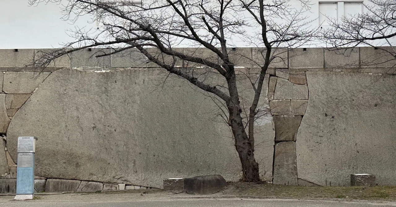 On the Obverse and Reverse of Stones That Tell of the Times｜sanchi