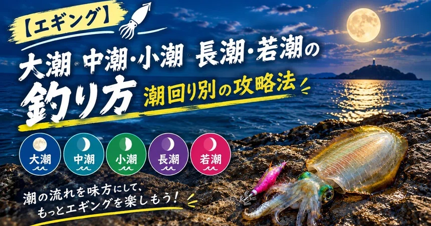 [Eging] How to Fish During Spring, Neap, Small, Long, and Wakashio ...