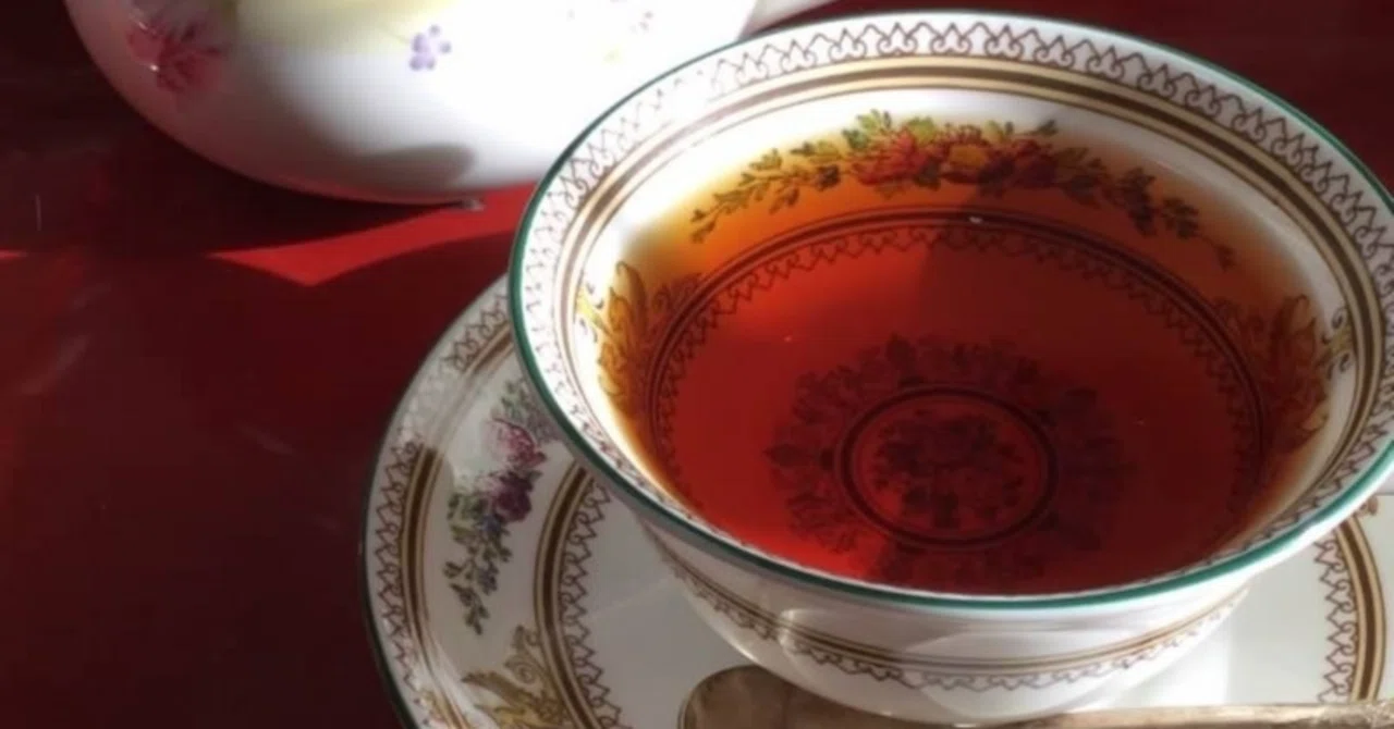 [High Value] Delicious black tea you can drink freely without ...