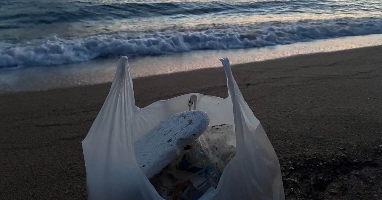 Picking Up Sea Trash in a Corner of This World 1 - How to Use 5 Million ...