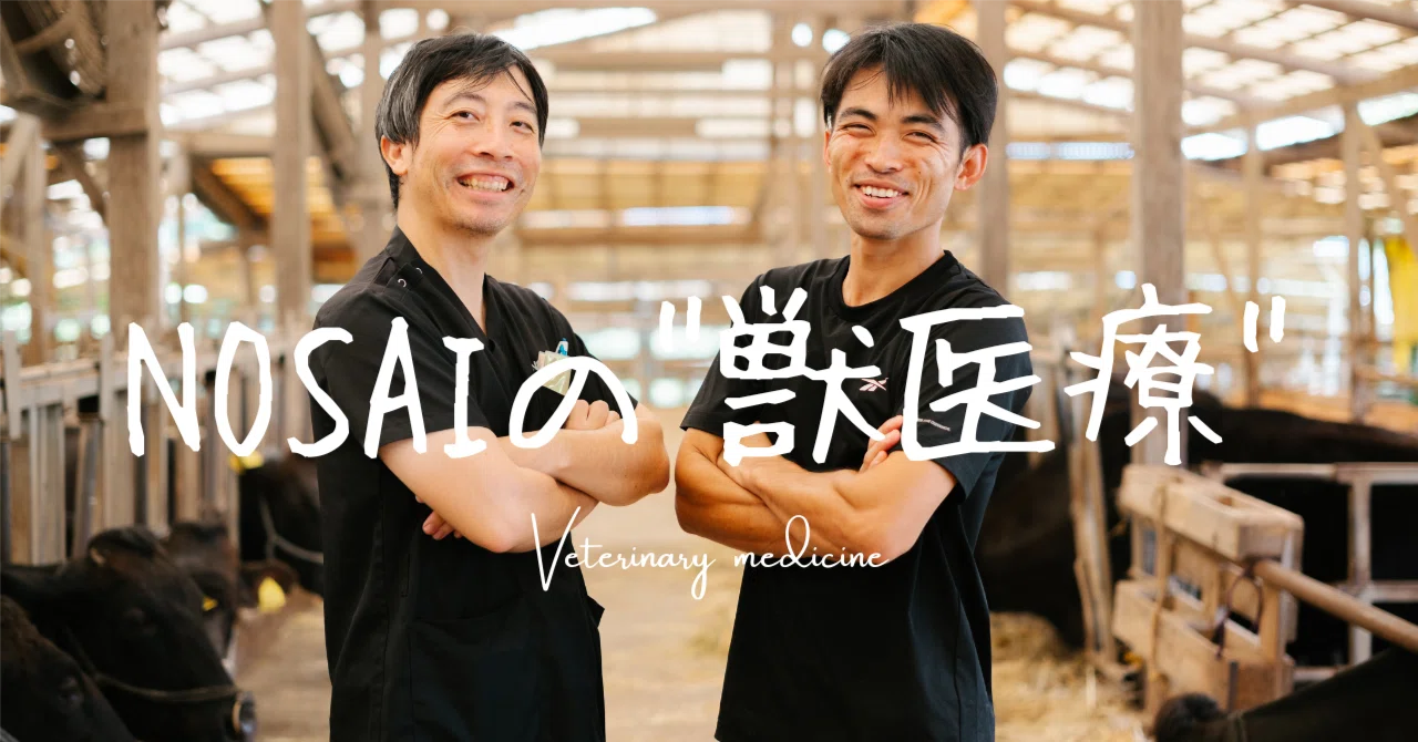 NOSAI Veterinary Medicine / NOSAI Miyazaki Management Guidance ...