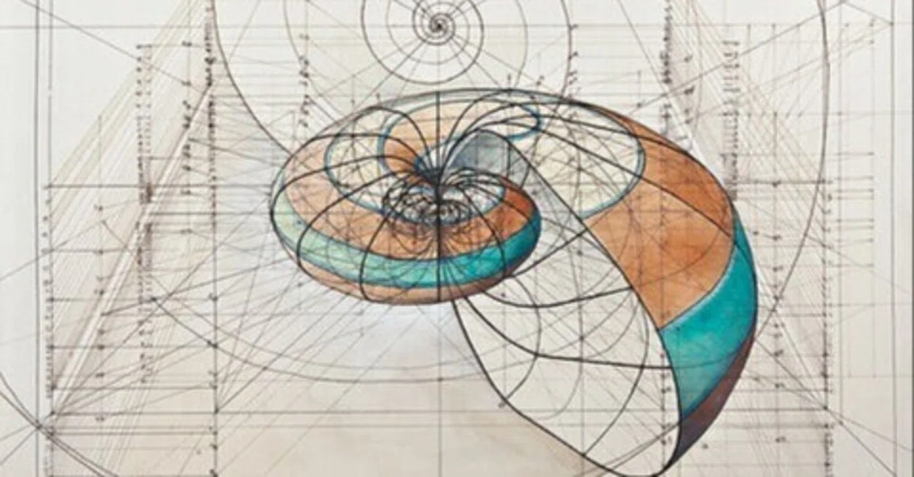 Logarithmic Spirals and Aikido: On Mathematics, Art, and Body Movement｜新敬 智