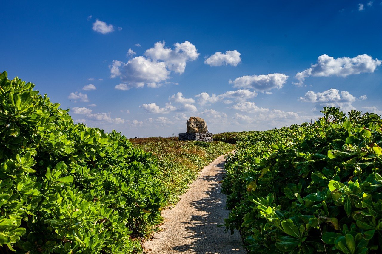 沖縄本島最北端「辺戸岬」｜Zenpaku