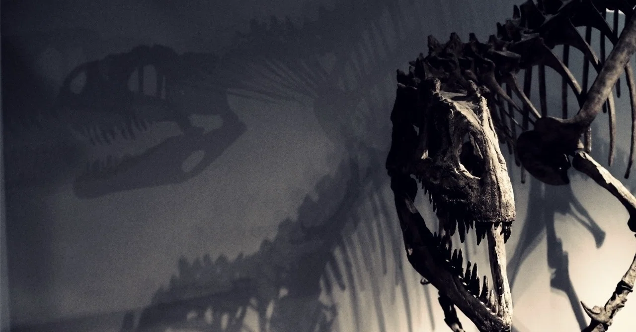 Why hide dinosaur bones in a 'fake hanging scroll'?｜しかおらん