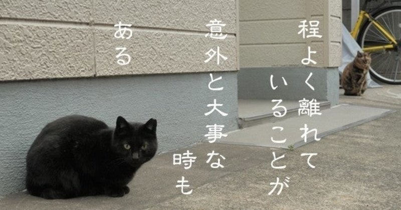 仕事が雑な人と平穏な心で仕事をする秘訣 酒ねこ ワクワク人生 note