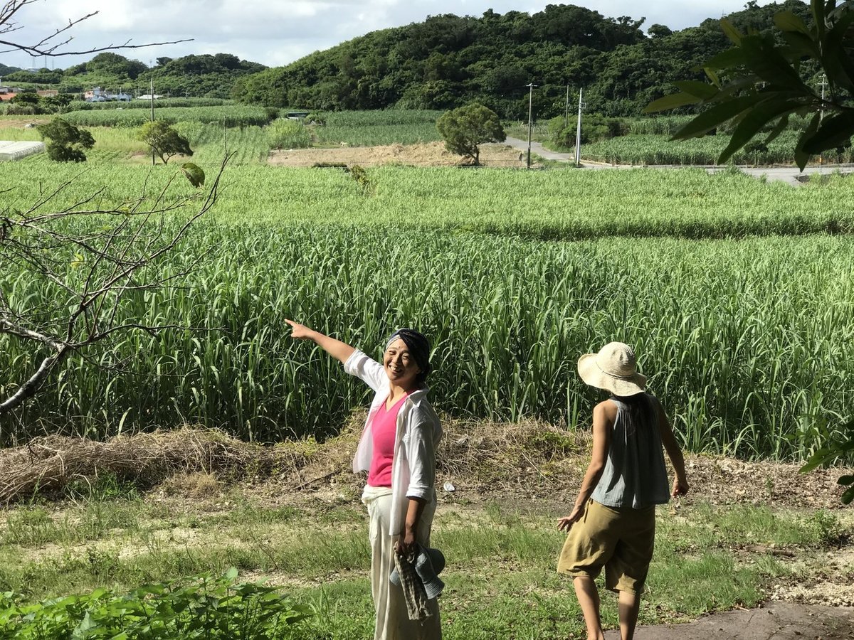 vol.2 虹をかける手｜SQUA