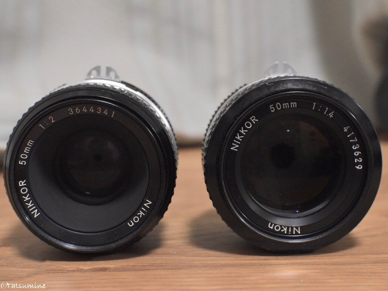 Nikon Ai NIKKOR 50mm f/1.4|tatsumine Nikon Ai NIKKOR 50mm f/1.4|tatsumine