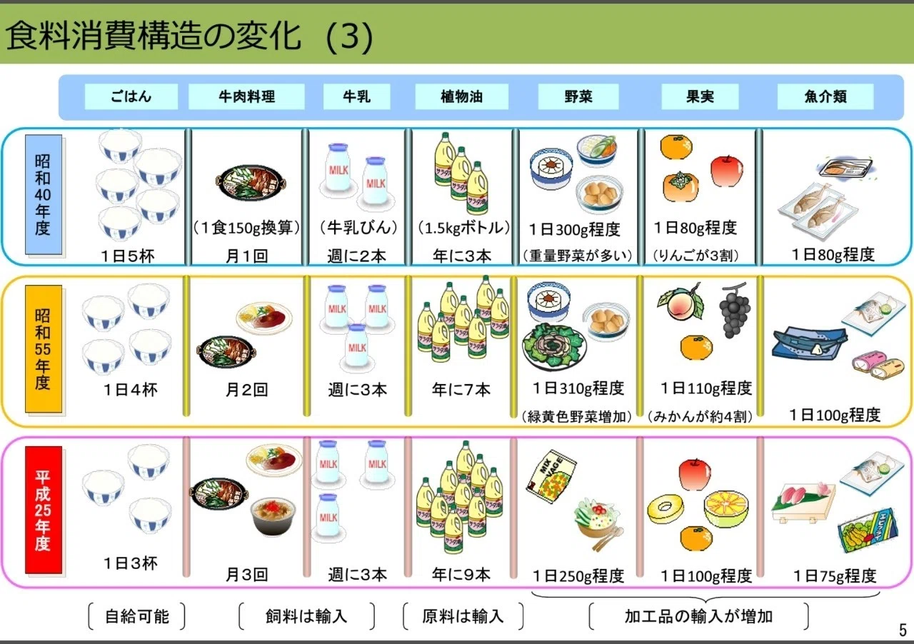 データで見る日本食!ホントに飽食時代?!|İzmir