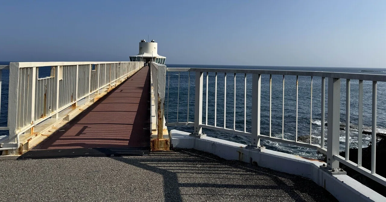 Traveling to Chiba with 4-month-old twins | Day 1: Umihotaru, beach ...