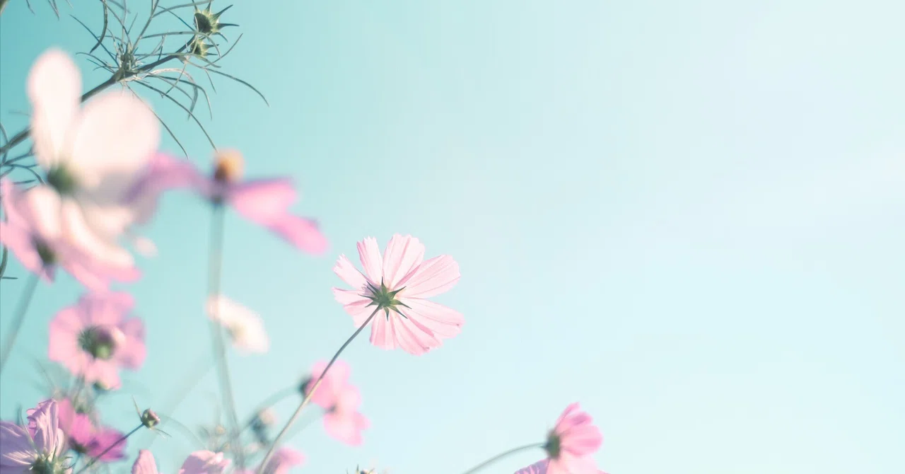 Words Are Not Enough to Express 'Love'｜汐ちなみ