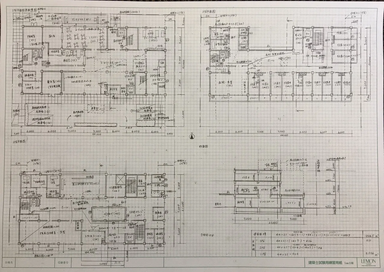 [Day 234] Sketch + Drawing 5h TA 3rd Attempt / How to Prevent ...