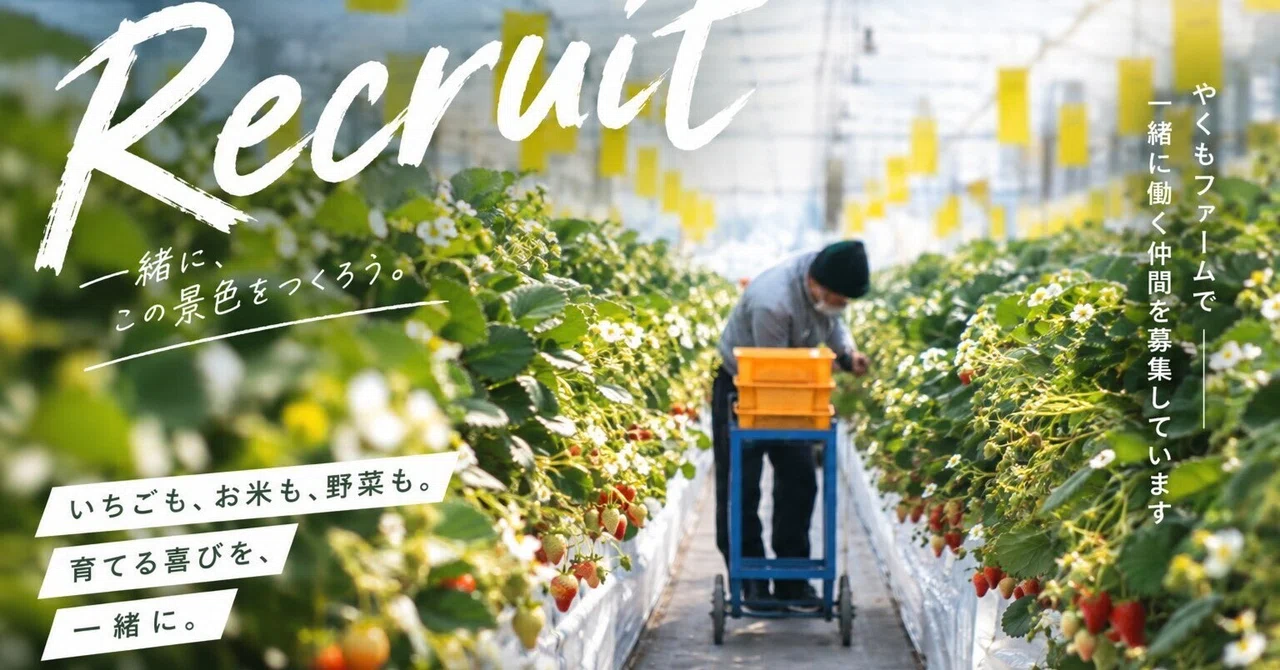 🍓 [Agricultural Staff Wanted] From 