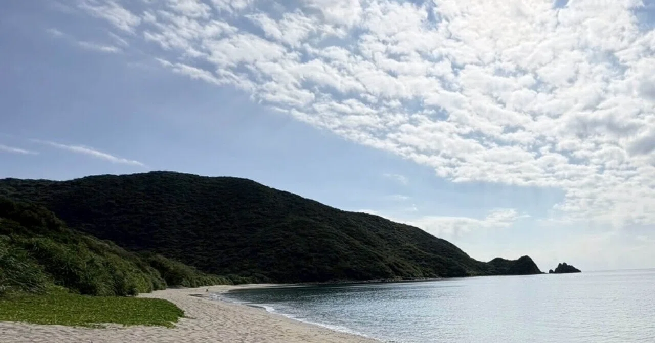 Swimming with Sea Turtles on Amami Oshima. A Holiday at THE SCENE ...