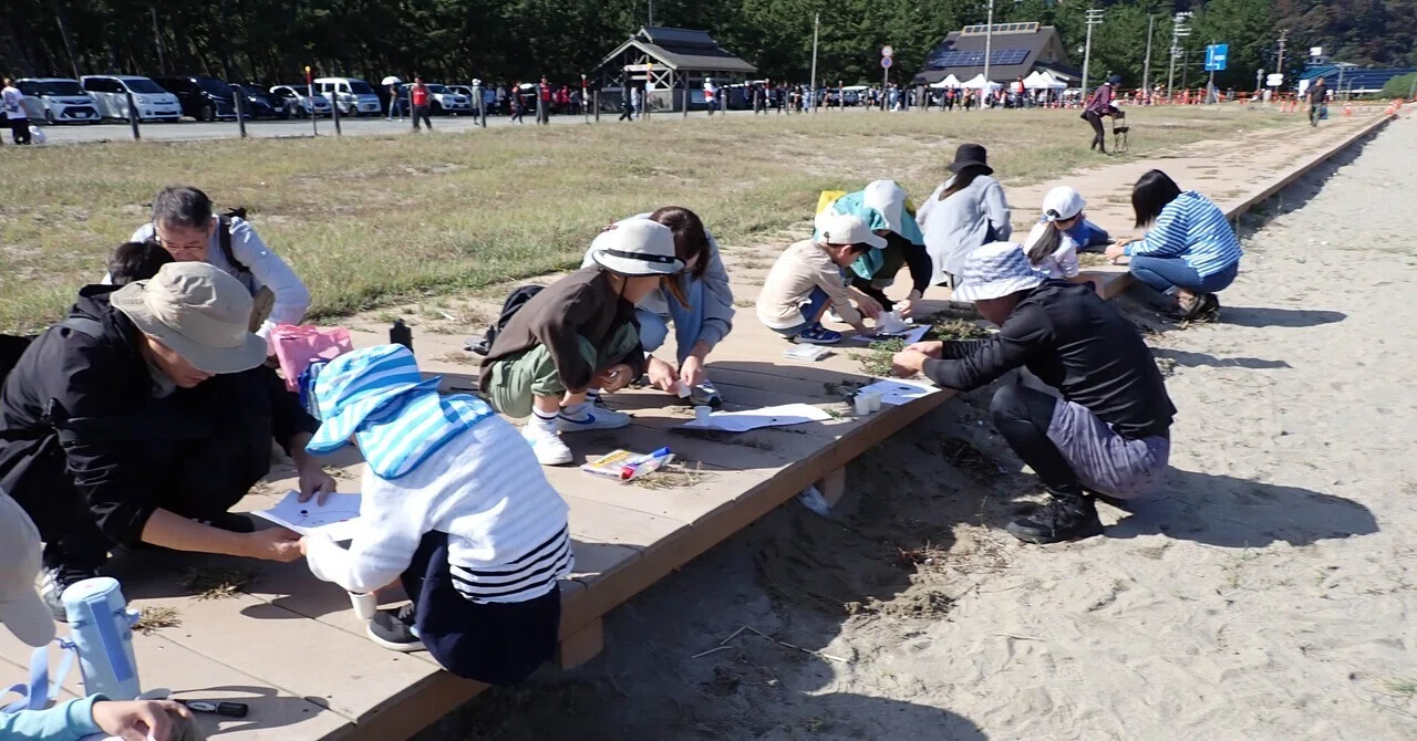 The Secret of the Black Streaks on the Beach｜ブンダバー