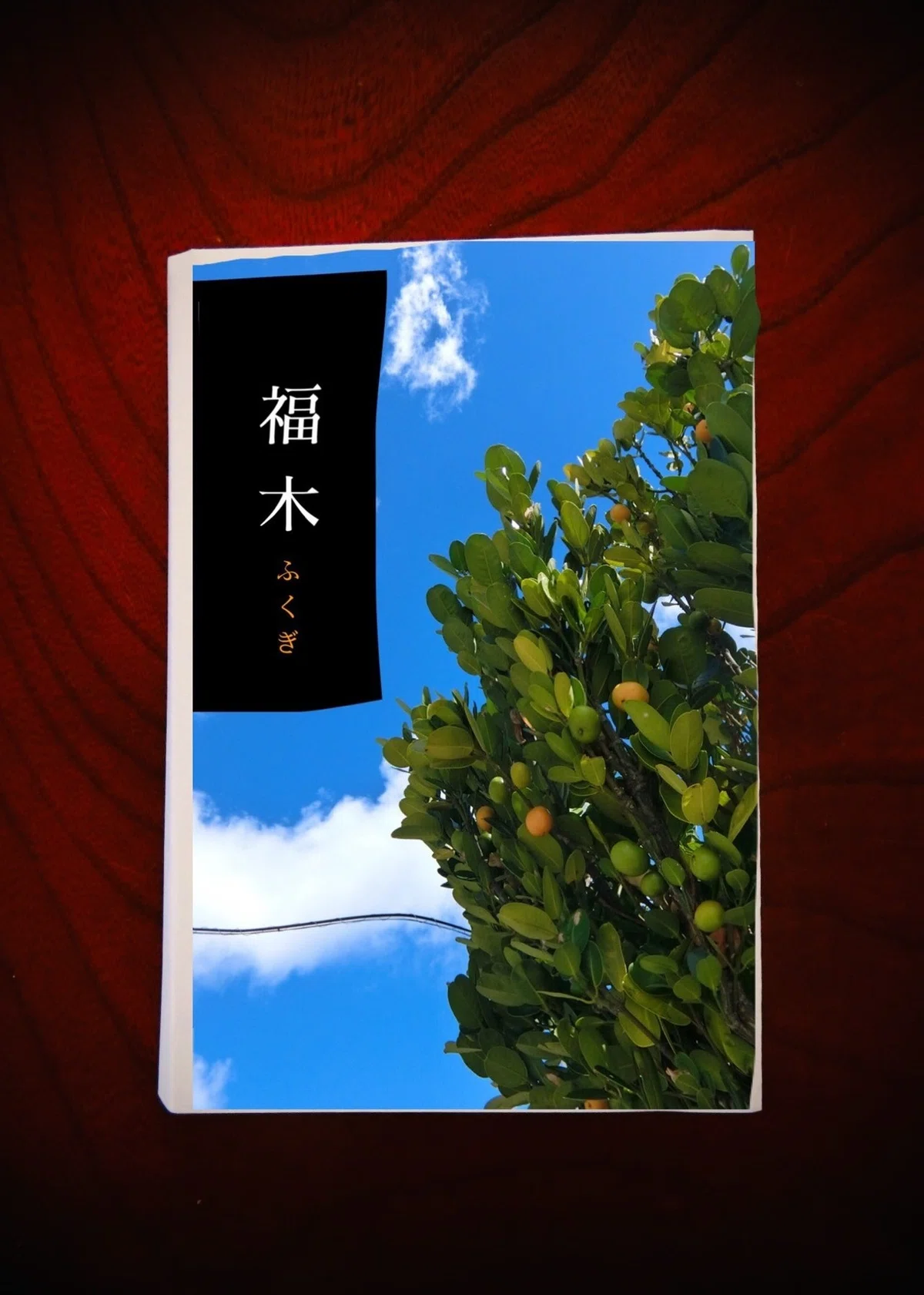 画像5
