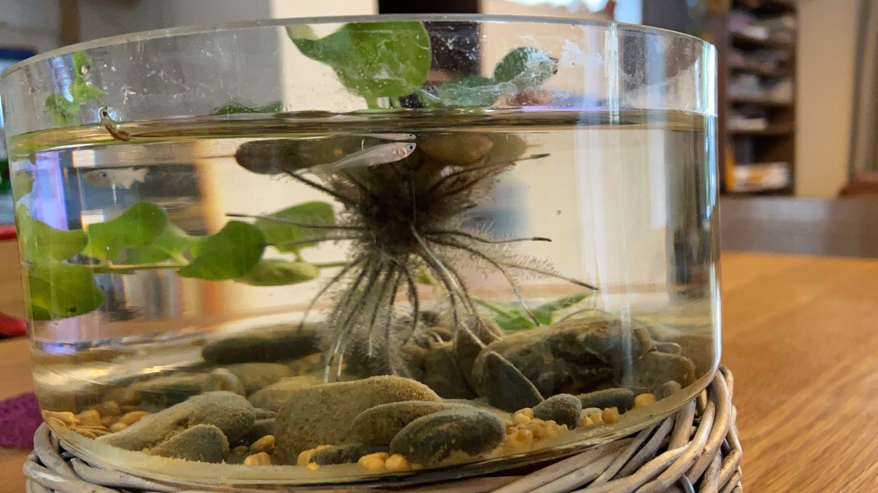 共存すること ゆうのうえん Shonan Note 共存すること ゆうのうえん Shonan Note