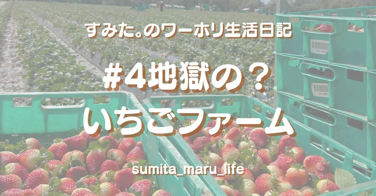 🇦🇺 Working Holiday Life Diary. #4 Is the Hellish 🍓 Farm a Scam?｜すみた。