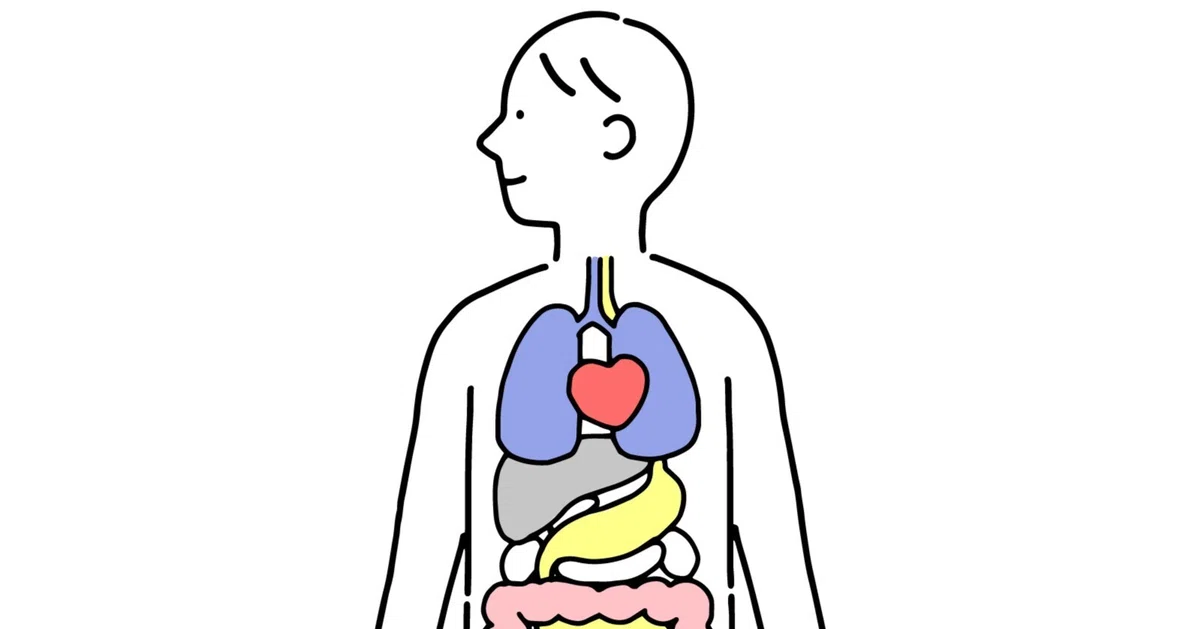Why Osteopathy Regulates the Autonomic Nervous System for Unexplained ...