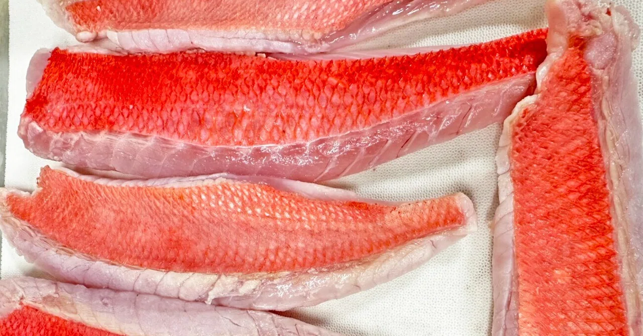Today's Fish Market Bowl! The highlight is our first arrival in a while ...