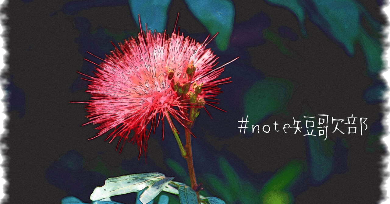 短歌 8月17日 誕生花は合歓木 Note短歌部 御子柴 流歌 Note
