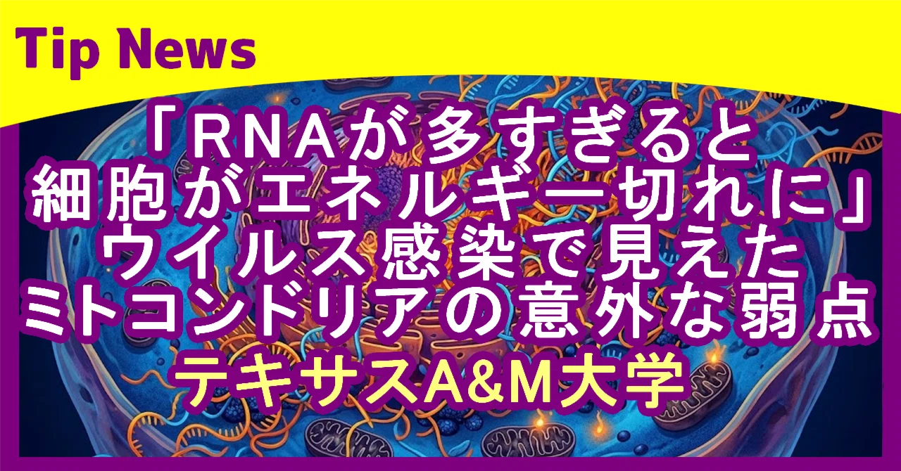 “Too much RNA leads to cellular energy depletion” — An unexpected ...