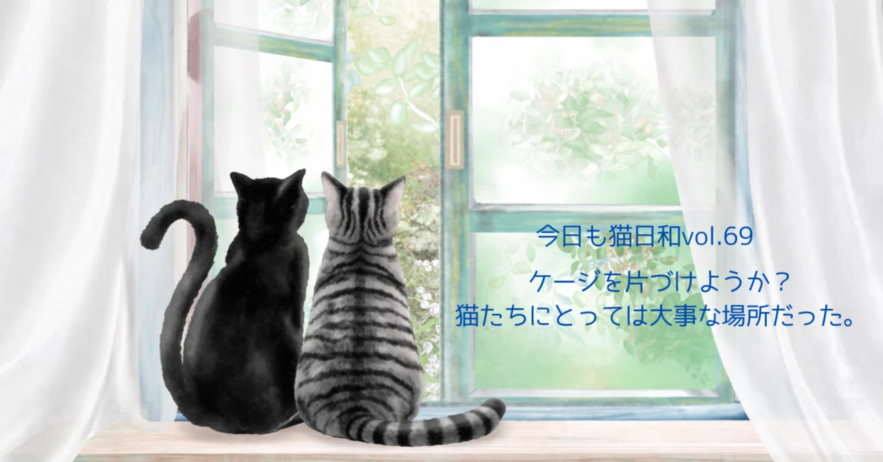 A Perfect Day for Cats Vol. 69 - Should I Clear Out the Cage? It Was an ...