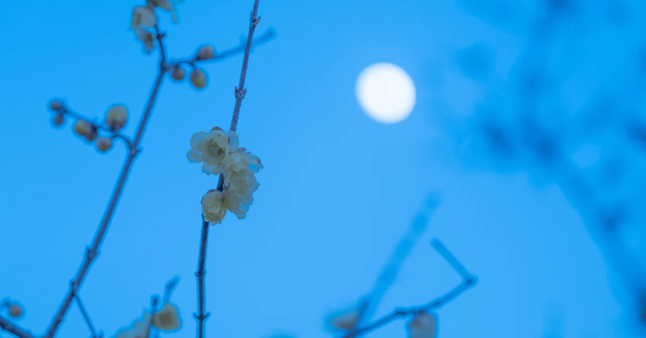 🌙 Ginga Masuda 8-1 The Night My Son Stood Still: A Blushing Dad's ...