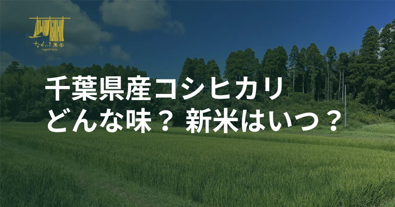 Characteristics of Chiba Prefecture Koshihikari | Flavor, Harvest Time ...
