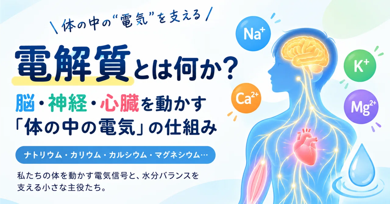 What are electrolytes? The tiny protagonists supporting 'electrical ...