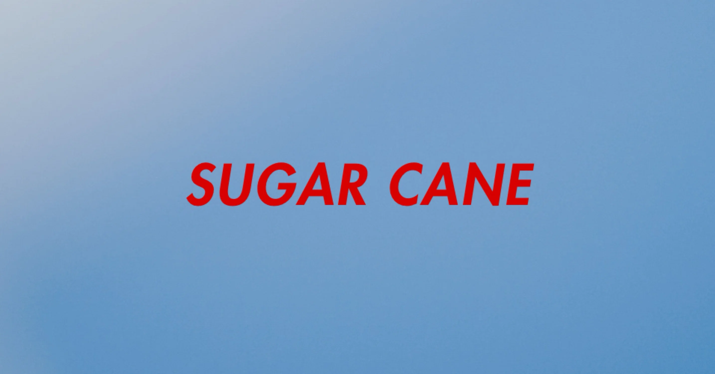 SUGAR CANE - 2026-10｜ジーンズ徘徊者｜note