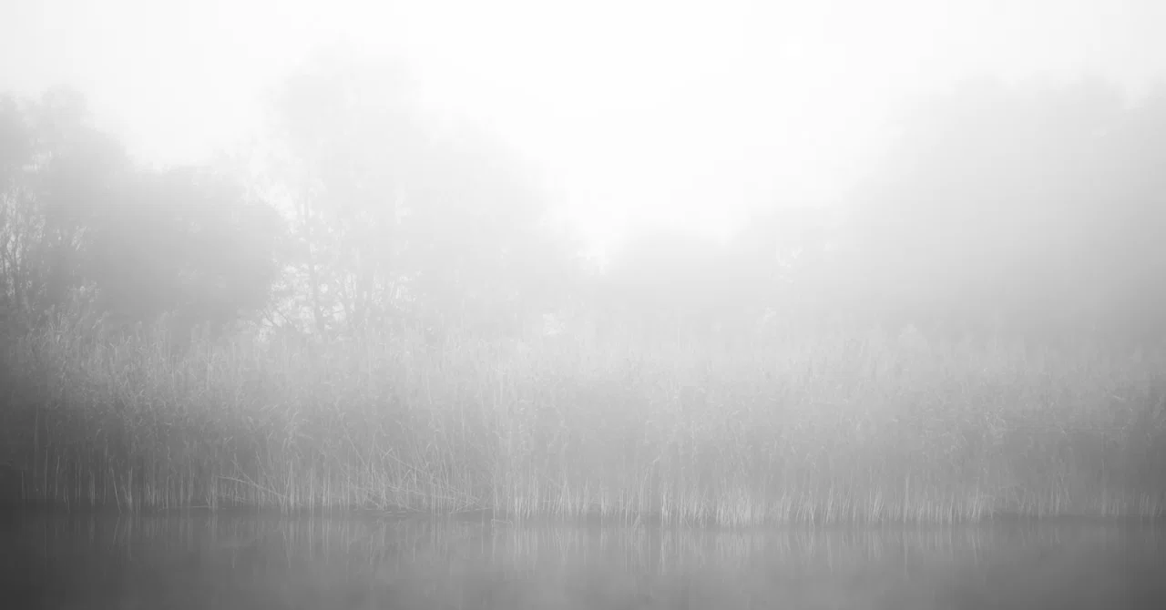 If you die, we can meet again｜加藤 駿｜生活研究者