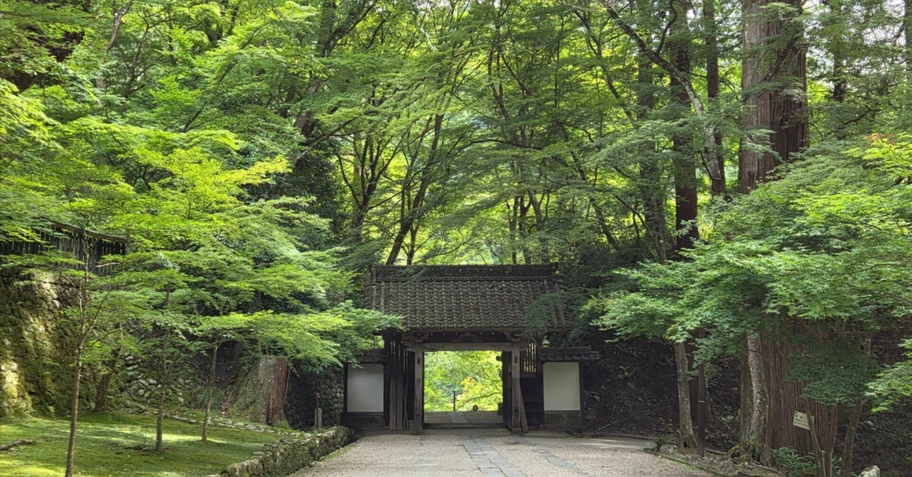 The Bretton Woods System and Subsequent Coordination Failures (1)｜静かな夜に