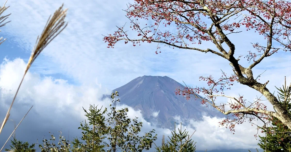 [Lake Yamanaka] Mt. Ishiwari｜Marino