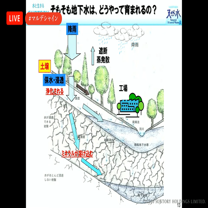 まるで大人の自由研究 森と水のプロ が語る100年後の未来を見据えた水を育む活動とは サントリー マル デ シャイン