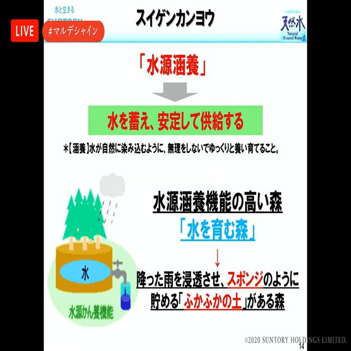 まるで大人の自由研究 森と水のプロ が語る100年後の未来を見据えた水を育む活動とは サントリー マル デ シャイン